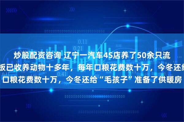 炒股配资咨询 辽宁一汽车4S店养了50余只流浪猫狗，工作人员称老板已收养动物十多年，每年口粮花费数十万，今冬还给“毛孩子”准备了供暖房